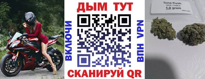 Конопля Bruce Banner  Светлоград 